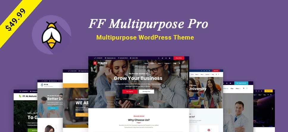 FF Multipurpose Pro – Multipurpose WordPress Theme